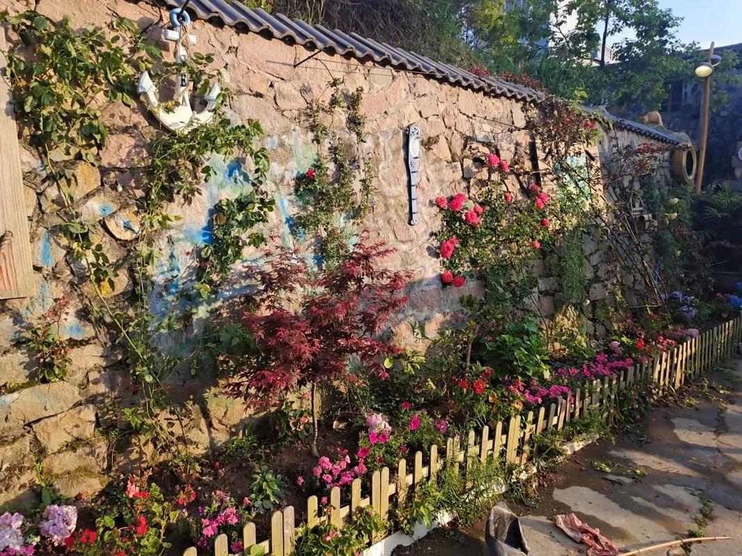 美丽日记丨洞头区"美丽花墙示范带"创建大比拼结果出炉!