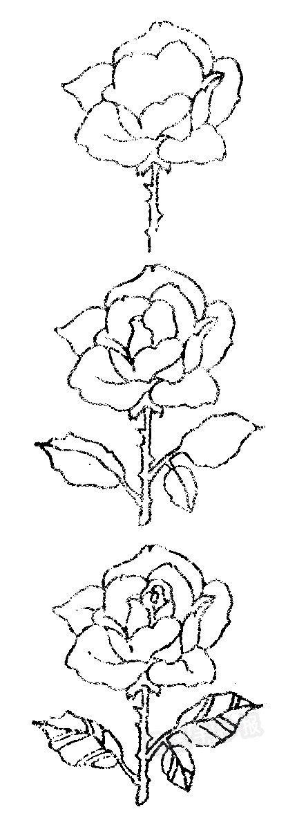 月季花简笔画简单画法