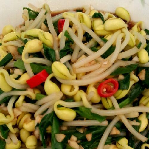 凉拌韭菜黄豆芽