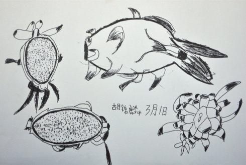 火龙果怎么画素描