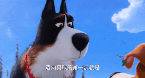 对这类恋人的幻想鲁叔《爱宠大机密2》这次的全新角色当然就要看看