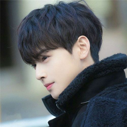 假发男韩版帅气男生短发自然齐斜刘海男士短直发蓬松