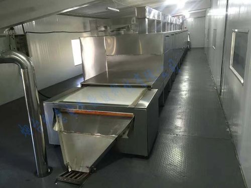 粉体 辣椒粉微波干燥机 松花粉微波杀菌设备 隧道式 可定制