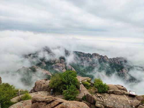 壮观!五一节假日 崂山巨峰开启云海观赏模式