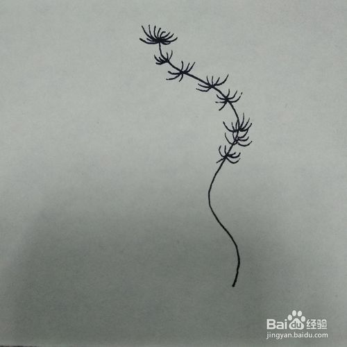 如何画好看的金鱼草卡通植物简笔画教程