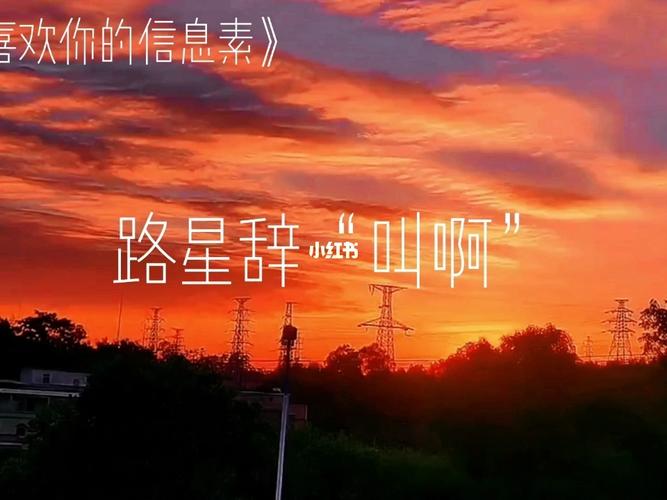路星辞和段嘉衍绝配.青柠和小苍兰绝配._我喜欢你的信息素_文化_阅读