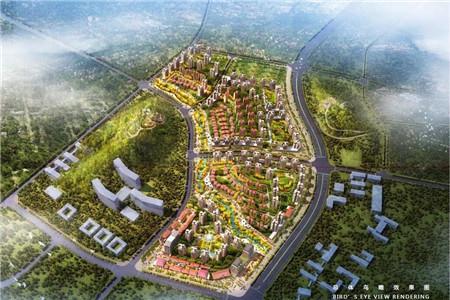 贵安新区及中国铁建领导相继致辞,项目设计总监和营销总监分别对贵安