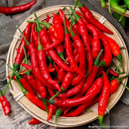 红辣椒图片