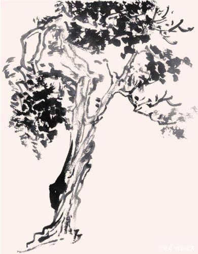 零基础国画教程:分步骤图解教你画3种常见树画法,简单易学