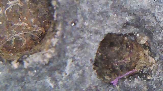 研究到如今,高古瓷学术上基本把这多色线状称为"硅化线"或"硅化根"