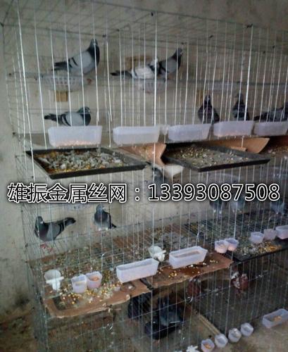 福建厦门市鼓浪屿区 立体式鸽子笼 带全套配件价格优惠