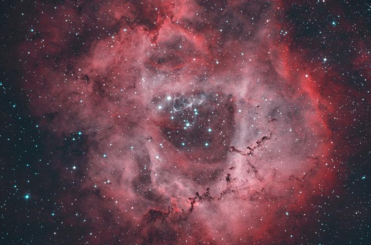 ngc2244 玫瑰星云