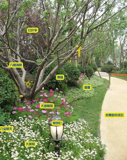 [分享]植物搭配,看着看着就会了