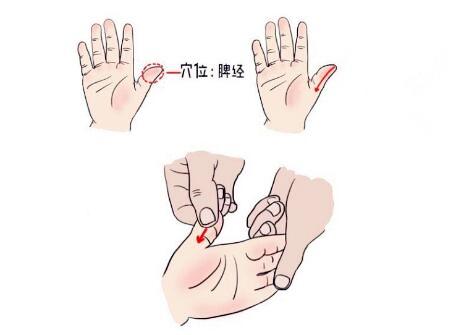 小儿推拿推脾经手法