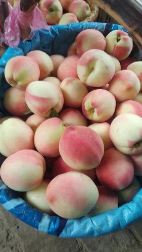 水蜜桃 姥姥家的桃子 25 一箱 五斤包邮