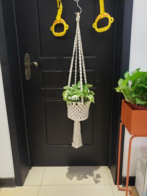 编织花篮_编织_花篮_手工制作_颈圈_吊兰_手工编织_兴趣爱好_手工