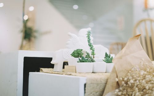 简约小清新唯美静物高清图片桌面壁纸