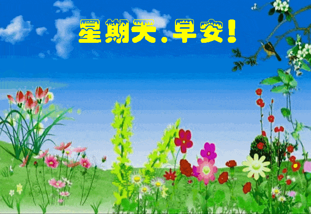 最新周日早上好表情包,周日早安,心幸福,人自在,一生