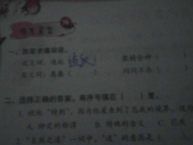 聚精会神的近义词