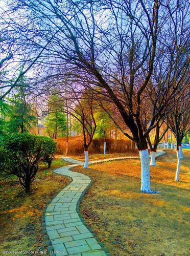 美丽的公园风景