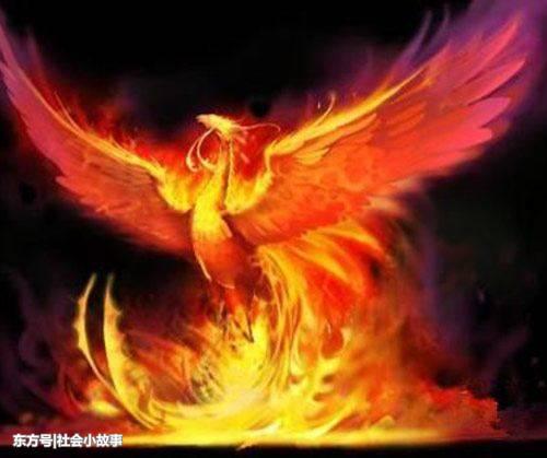 趣味测试:选一只凤凰,测你前世守护神兽是哪种凤凰?我是冰凤