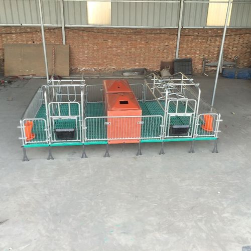 邮箱 无 传真 无 地址 泊头市 主营产品 母猪产床,定位栏,仔猪保育床