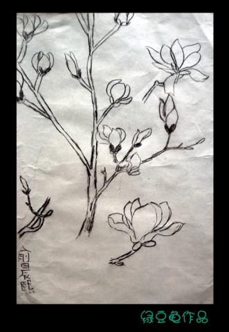 绿豆龟儿童作品-写生《玉兰花》