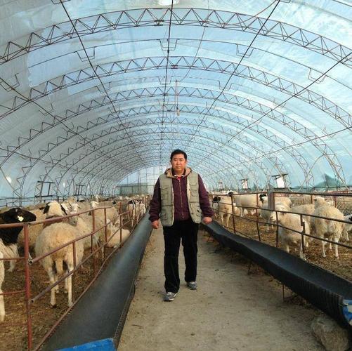 北方养羊必看:一文带您了解2种常见保暖型羊舍的构造,带图_暖棚