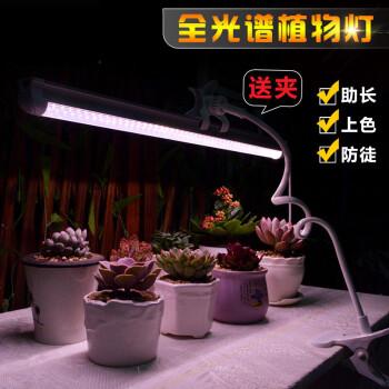 京选好货全光谱多肉补光灯仿太阳光绿植光照灯室内家用上色led植物