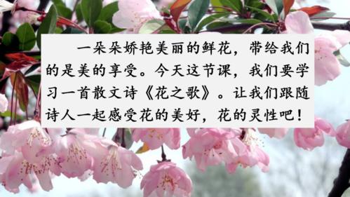 六年级上册语文第4课花之歌朗读视频知识点图文解读练习