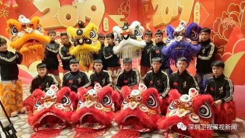 一支叫佛山比麟堂的深圳醒狮队登上了春晚主舞台