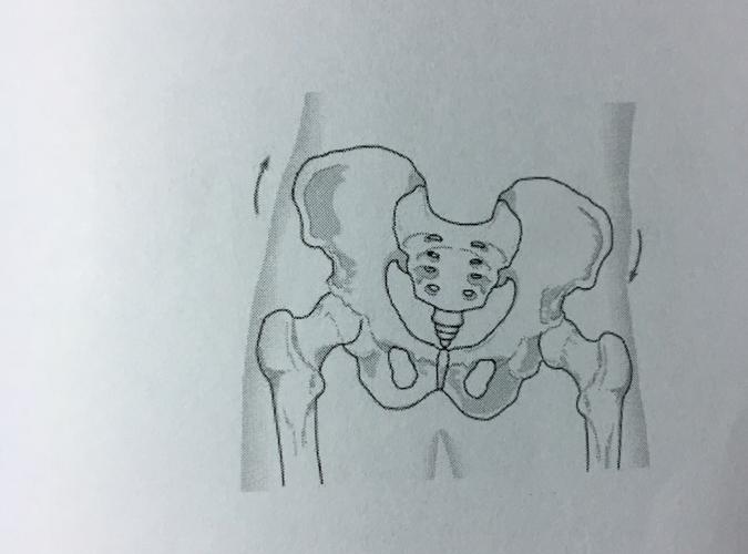 骨盆倾斜的评估与治疗