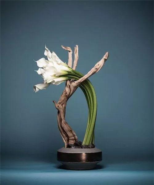 枯木逢春,锦上添花