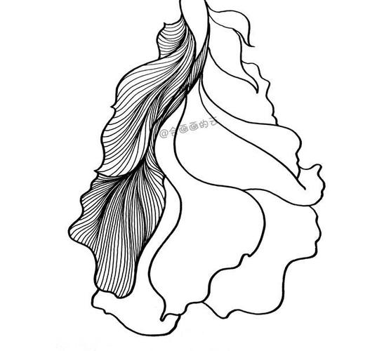 3款简笔画金鱼,零基础也可以画的线描画