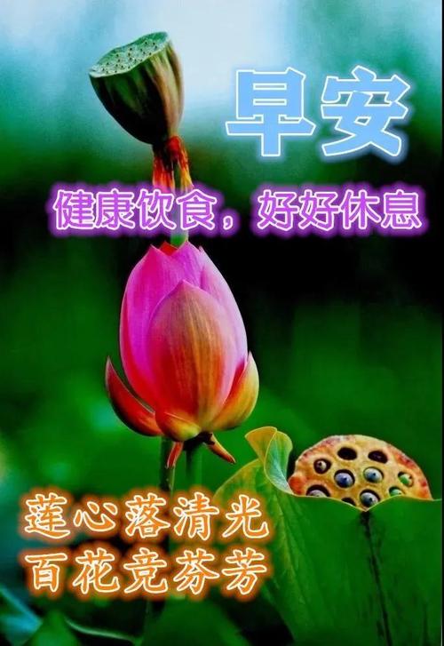 2021夏日天气炎热防暑降温早上好问候图片美图合集创意好看的夏日早安