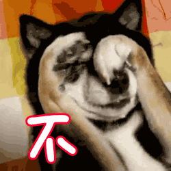 狗狗不害羞捂脸gif动图_动态图_表情包下载_soogif