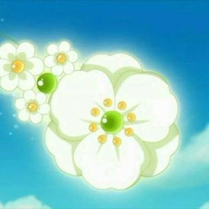 【小花仙第三季守护天使】