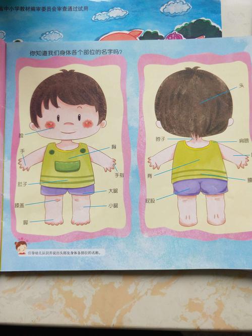 引导幼儿认识并说出头部及身体各部位的名称.