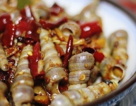 锥螺正上市遇见别错过营养高低脂肪吃了特滋补再贵也值得