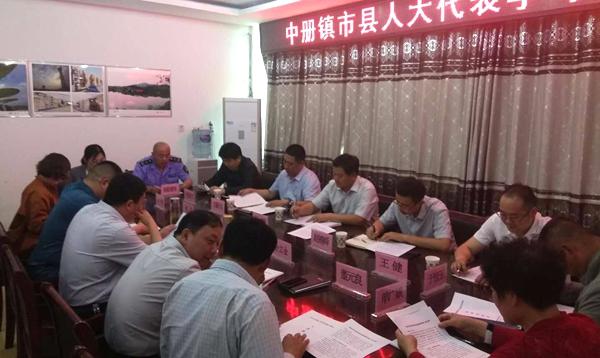 泗水县中册镇人大对镇食药所开展工作评议