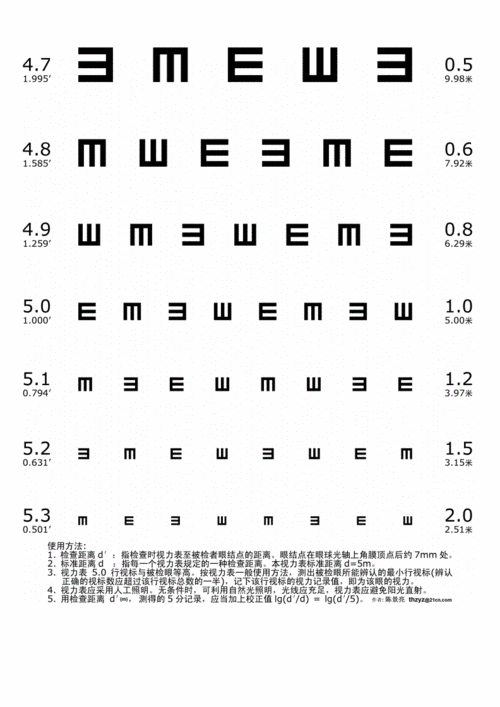 a标准对数视力表docx6页