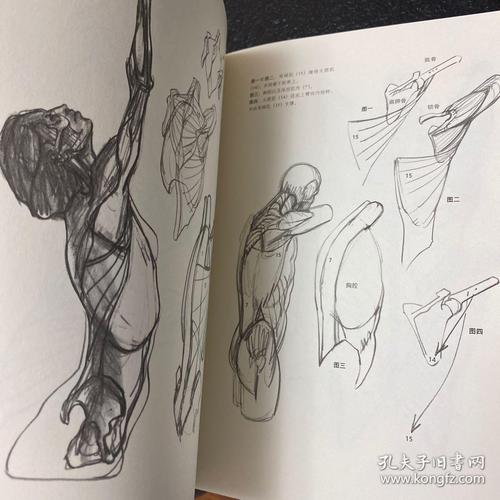 理解人体形态: 巴黎国立高等美术学院实用素描解剖书