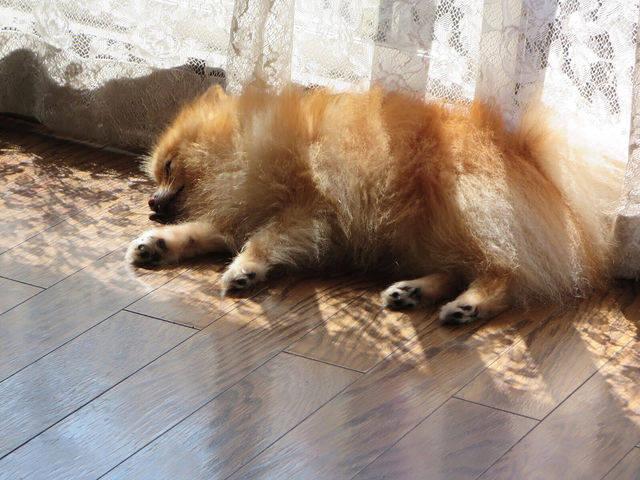 美丽的睡姿,你会以什么样的睡姿入睡呢