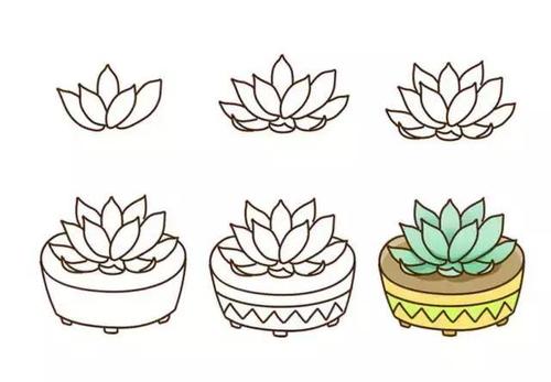 简笔画|18种多肉植物画法,孩子都爱画,超益智,建议先收藏!