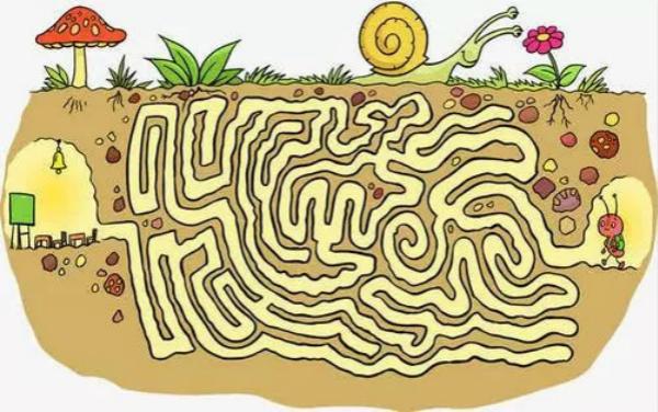 小学生视觉注意力训练