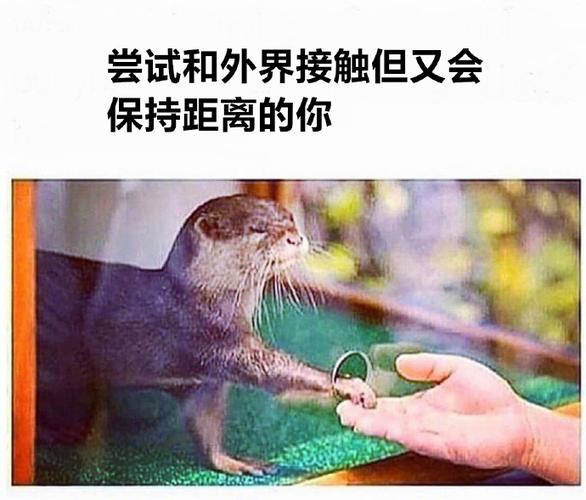 内向而社恐的我