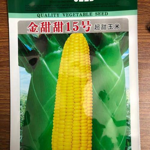 福建≤13%甜玉米种子