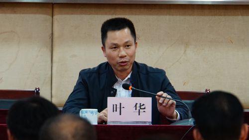 南庄镇镇长叶华在座谈会上发言
