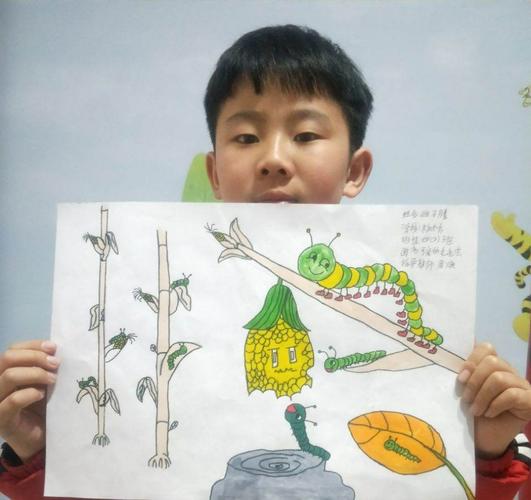 《昆虫记》绘本之毛毛虫