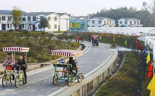 南充市高坪区走马乡金凤山村